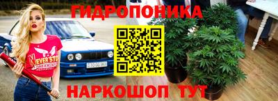 спиды Гусиноозёрск