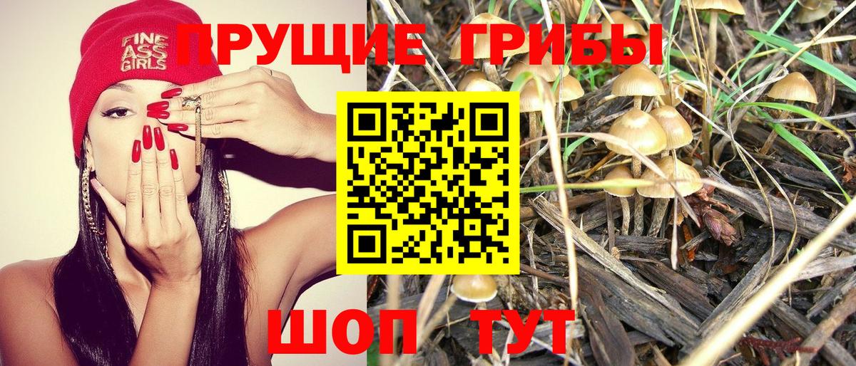 Галлюциногенные грибы мицелий  Вход с VPN  Псилоцибиновые грибы GOLDEN TEACHER  закладка  Менделеевск 