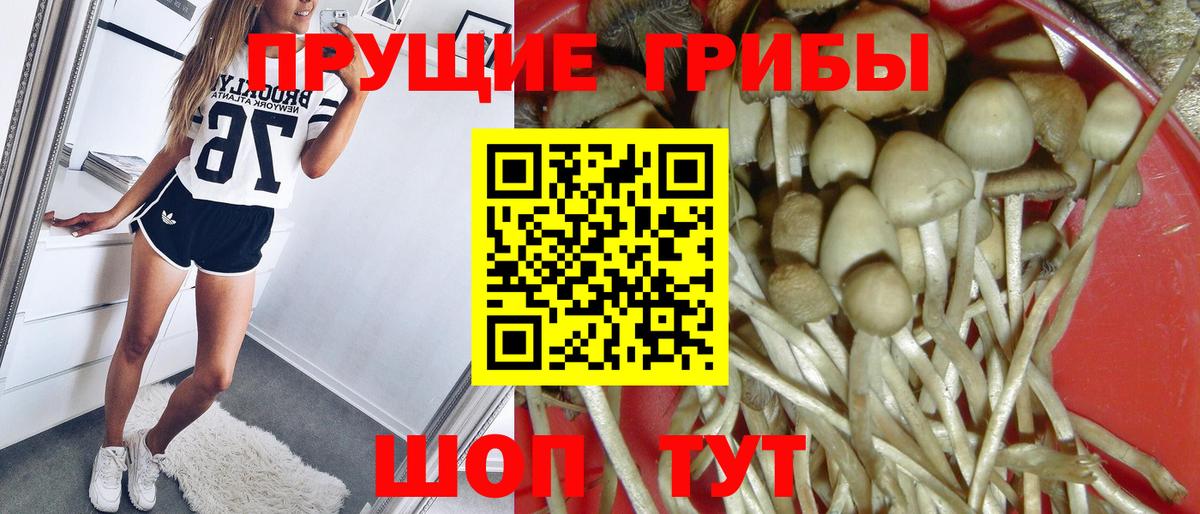 Галлюциногенные грибы Cubensis Менделеевск